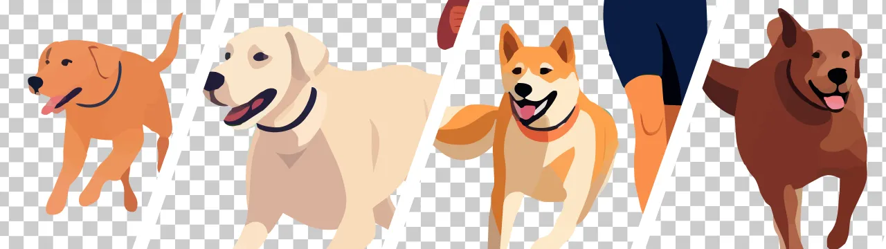 Running with Dog cover