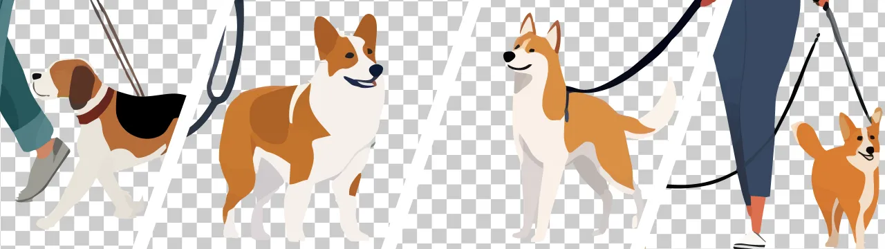 Walking with Dog cover